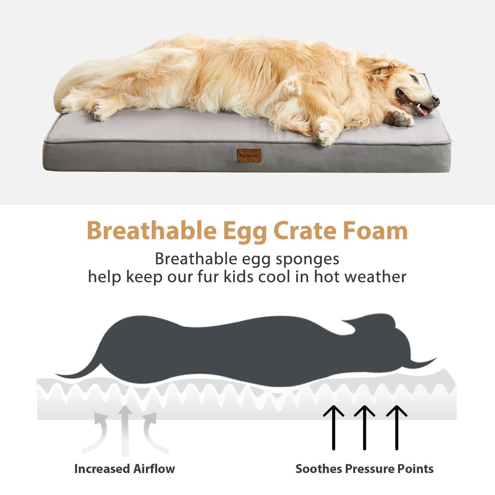 Cama grande 36x27x3 pulgadas de BFPETHOME para perros grandes.
