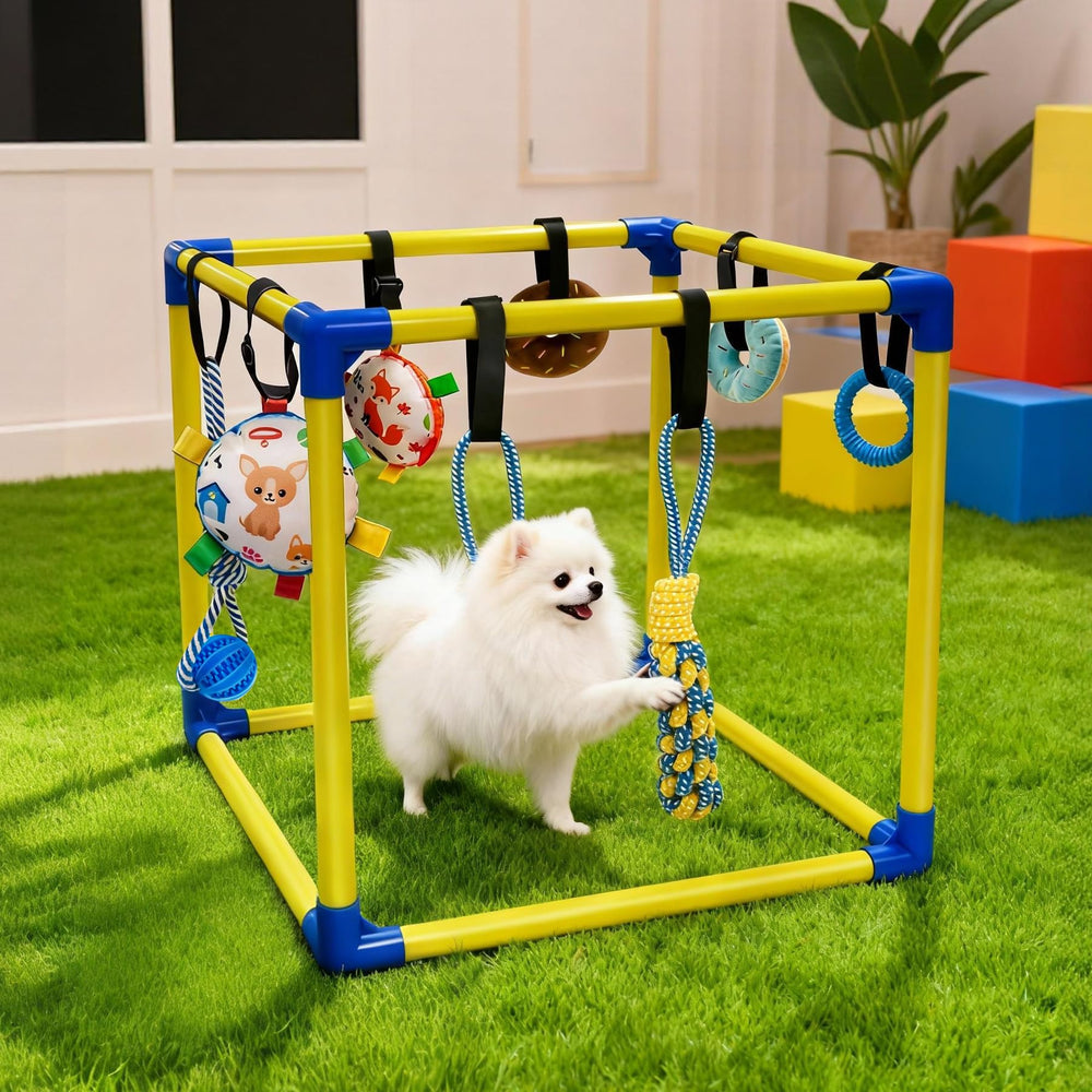 Actividad de juego para cachorros 0-6 meses en interiores.