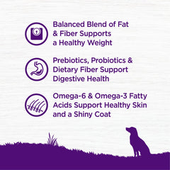 Wellness Complete Health: alimento seco que apoya digestión y dientes sanos.