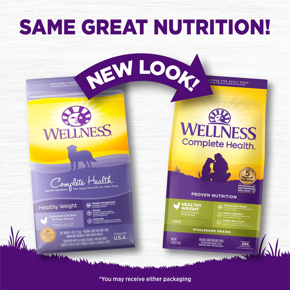 Wellness Complete Health: croquetas con omega y taurina para piel sana y corazón.