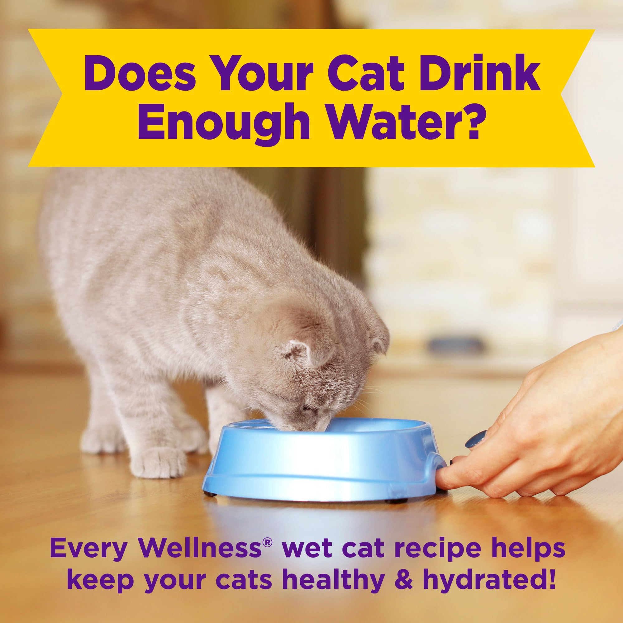 Wellness mousse proteína alta - aporte proteico para gatos adultos activos.