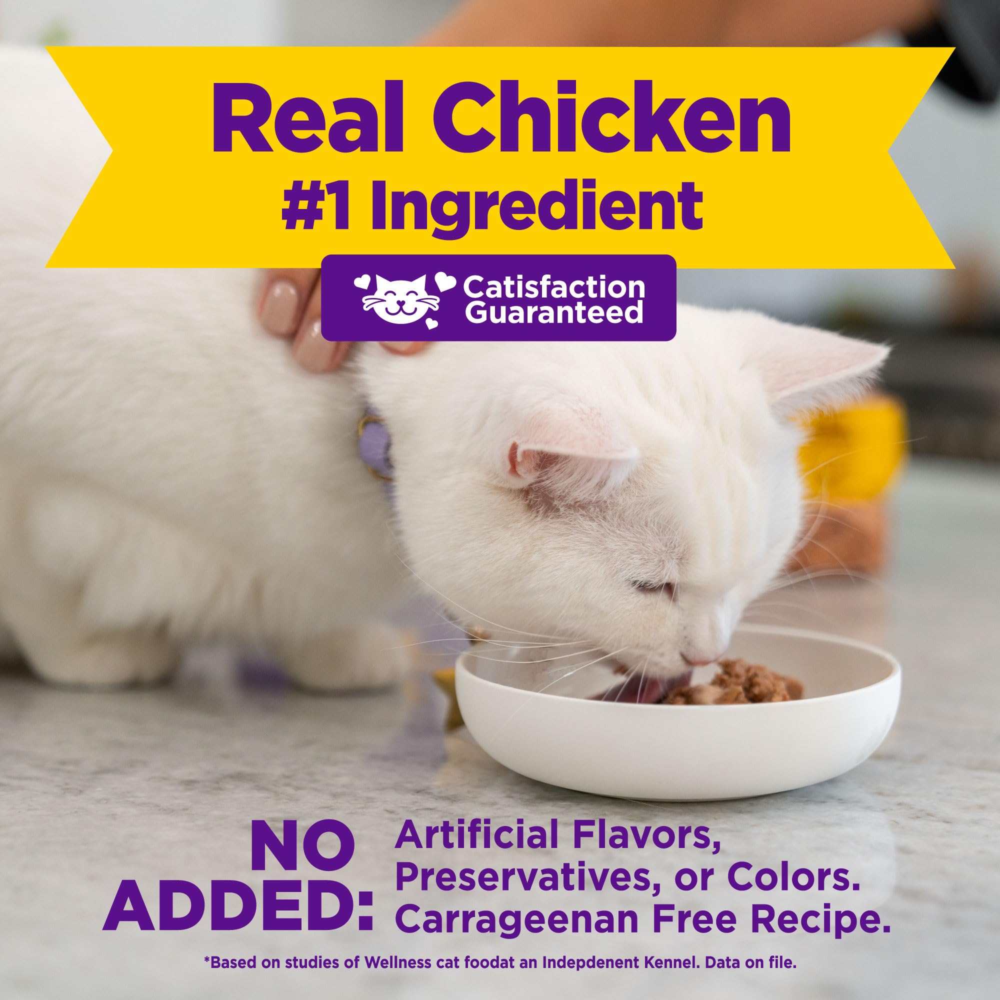 Wellness mousse variedades sabores - nueve recetas para la variedad diaria.