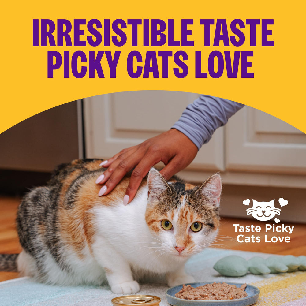 Wellness Latas variedad pollo para gato adulto, fuente de proteína y sabor delicioso.