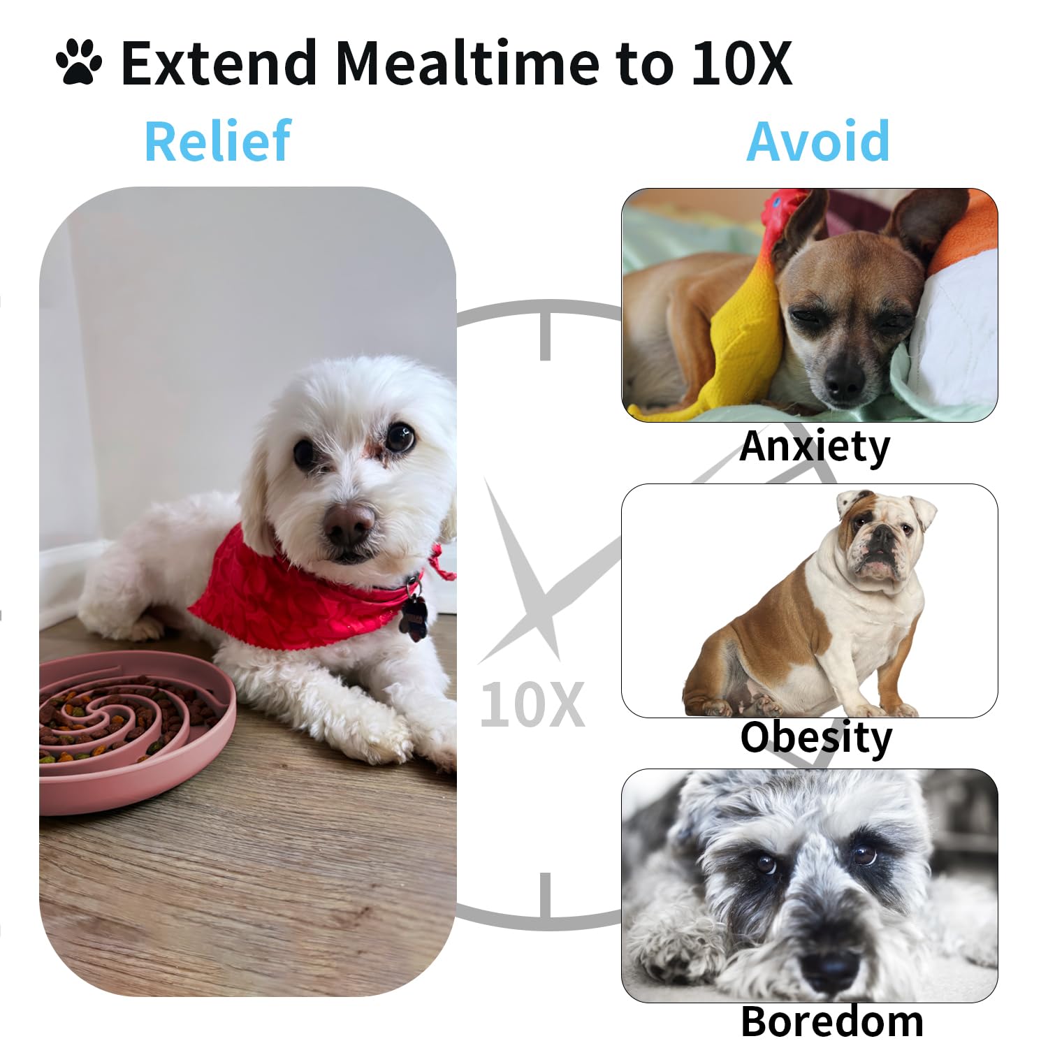 Bifeaw juego mental para perro, transforma la cena en desafío estimulante.