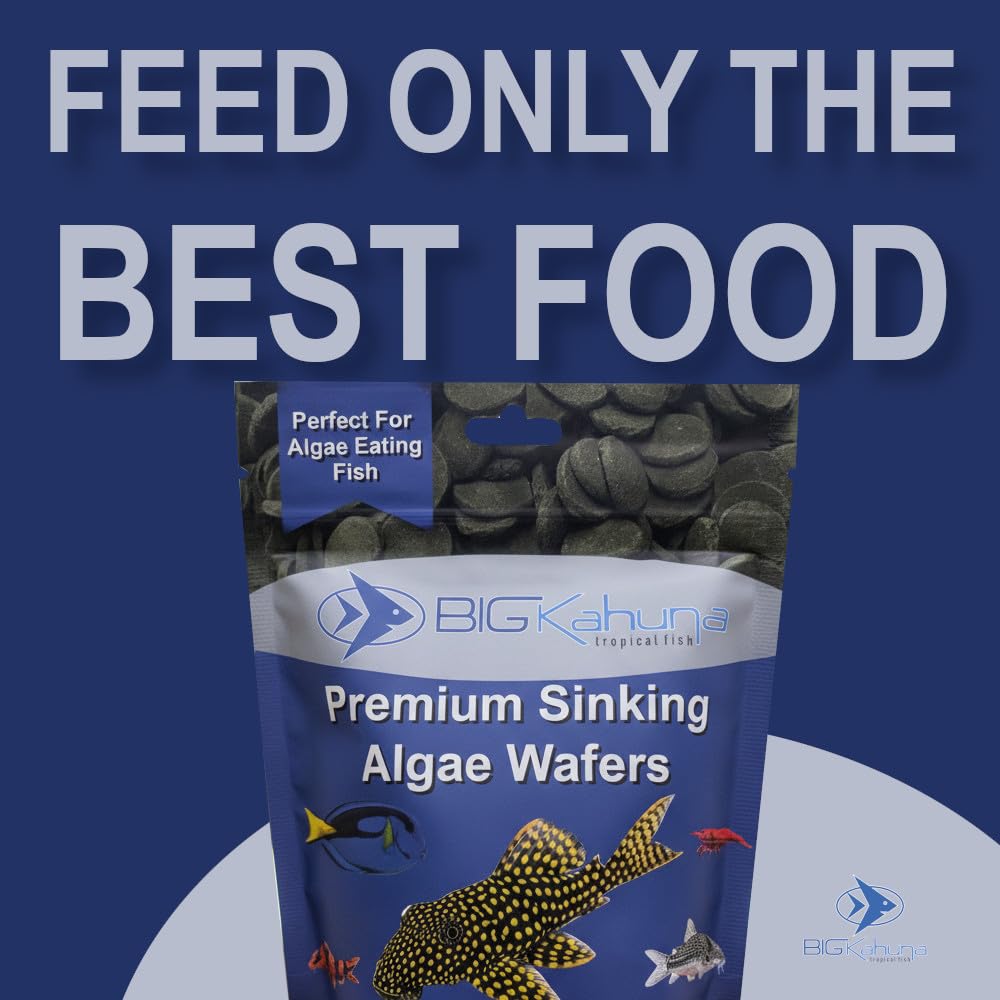 BIG KAHUNA TROPICAL FISH algas-en-bote-presentacion-16oz: almacenamiento cómodo y práctico.