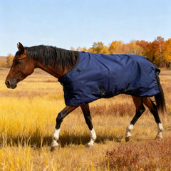 BIGANTTOW cobertor caballo cuello desmontable, cobertura completa para exteriores.