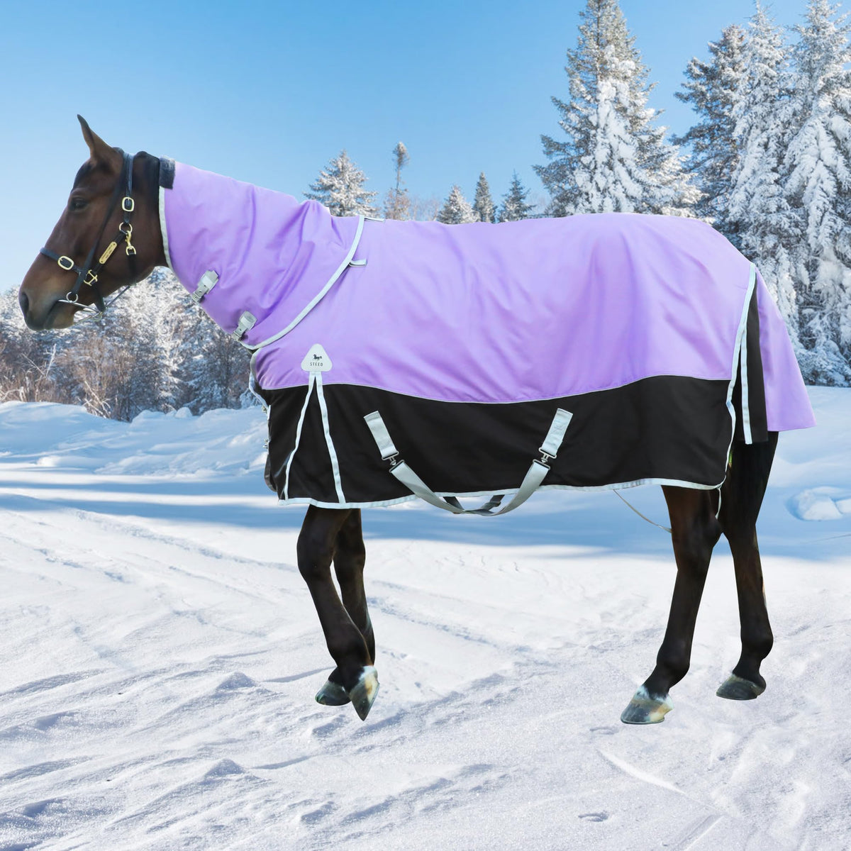 Manta BIGANTTOW para caballo invierno 72 pulgadas protege contra el frío.