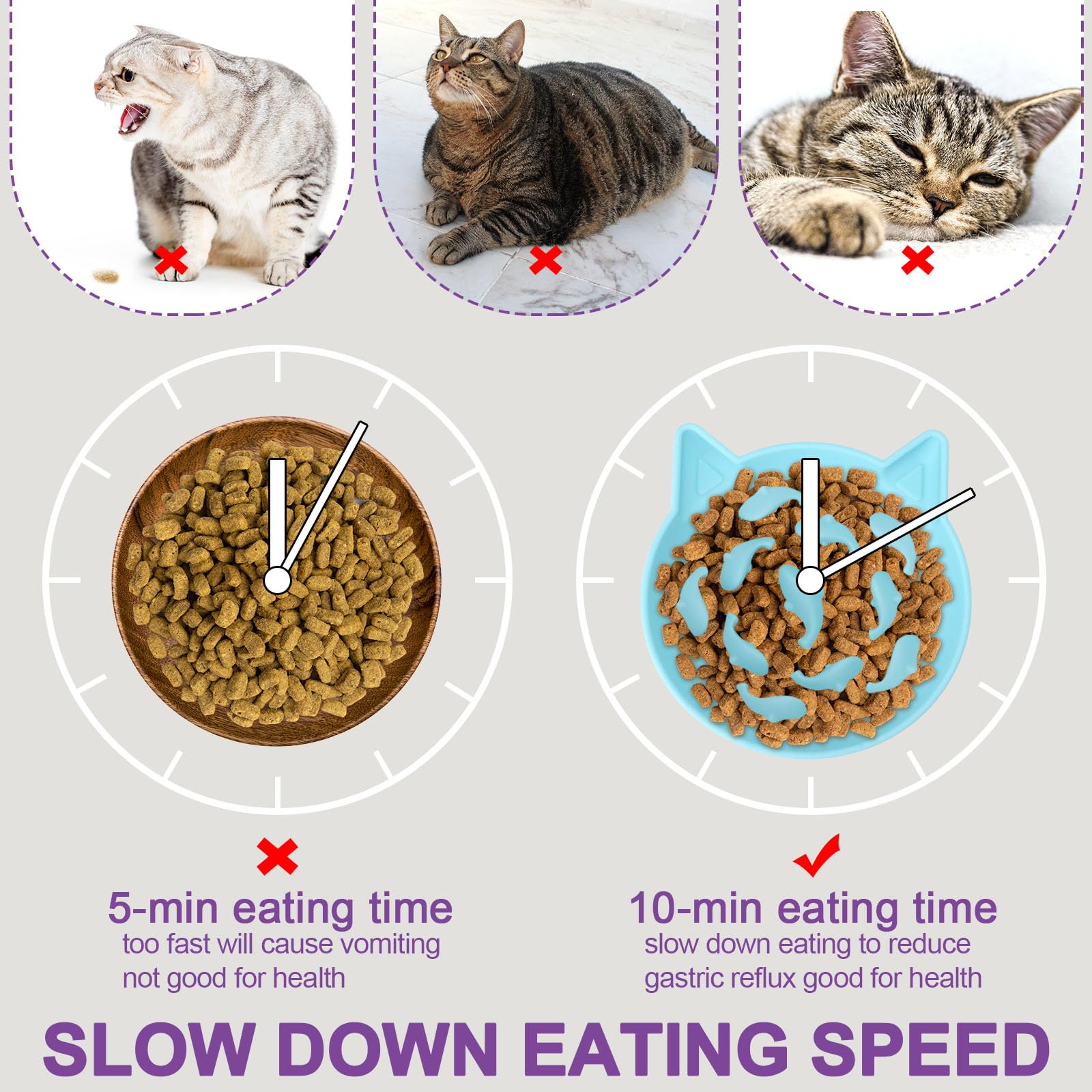 Tazón Bikabpet compatible con alimentos húmedos y secos para gatos