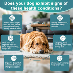 BiKontrun para perros: ingredientes naturales, apoyo suave al sistema inmune.