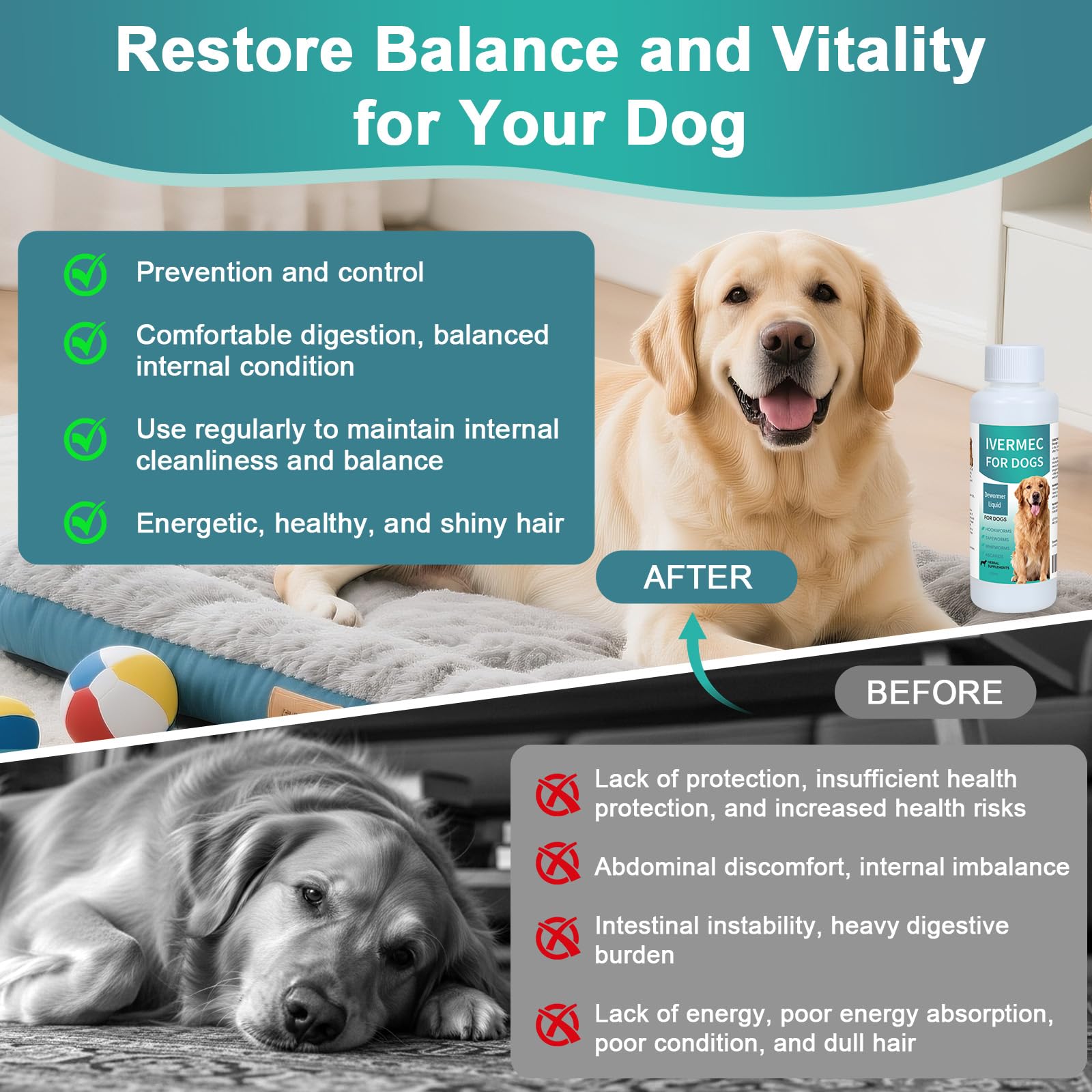 BiKontrun para perros: almacenamiento correcto, mantener la eficacia.