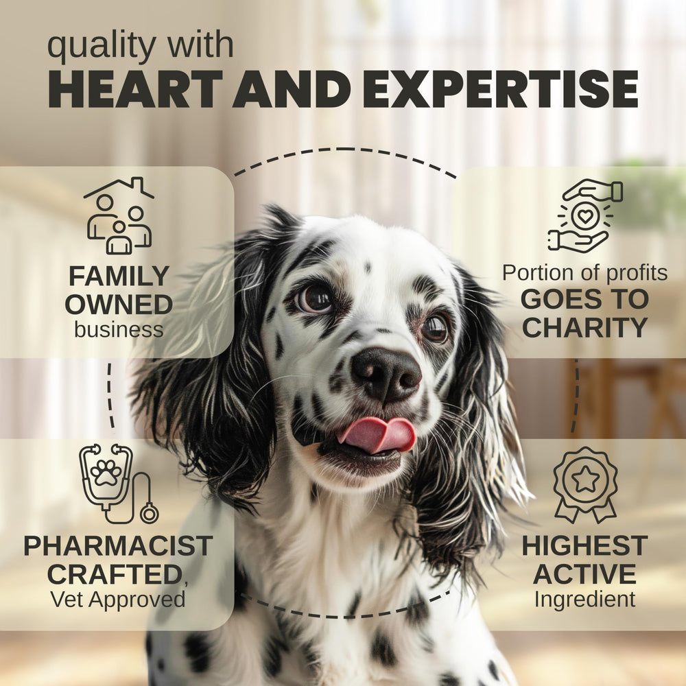 Billion Pets: uso durante viajes para reducir estrés y ansiedad.