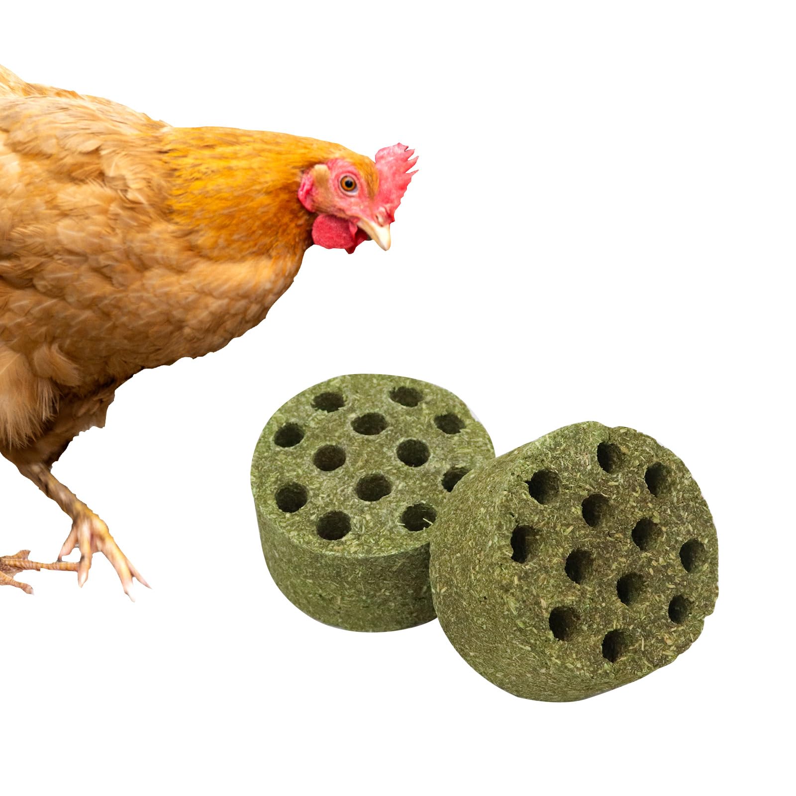 BingegePet bloques-timothy-hierba-pollo: bloques duraderos para picoteo natural.
