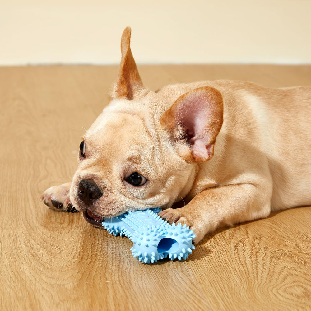 Bininl, regalo perfecto para cachorros pequeños y entretenimiento seguro.