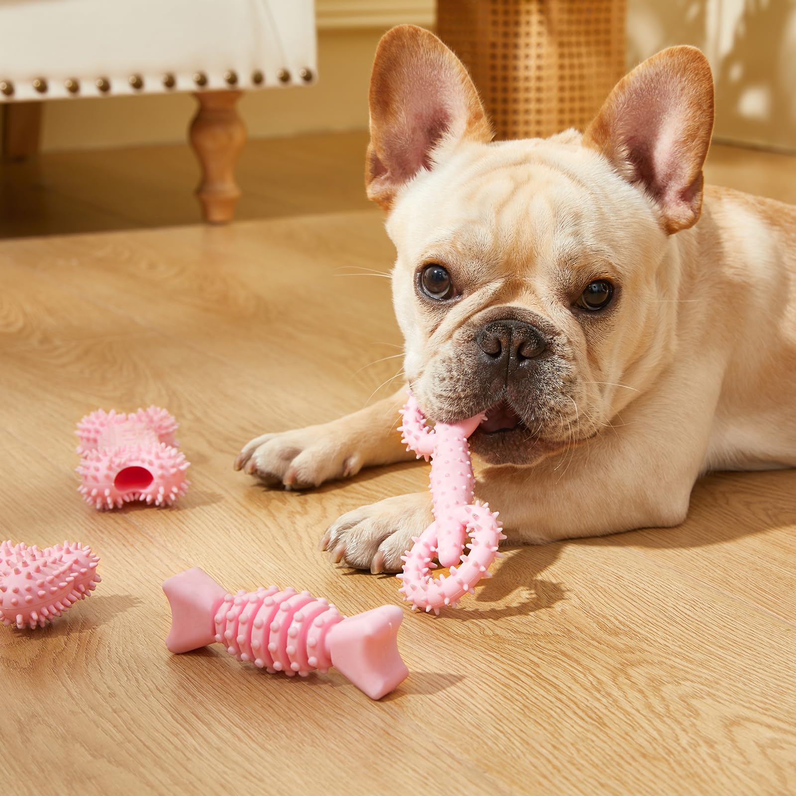 Bininl juguete dental para cachorros masajea encías y limpia suavemente.