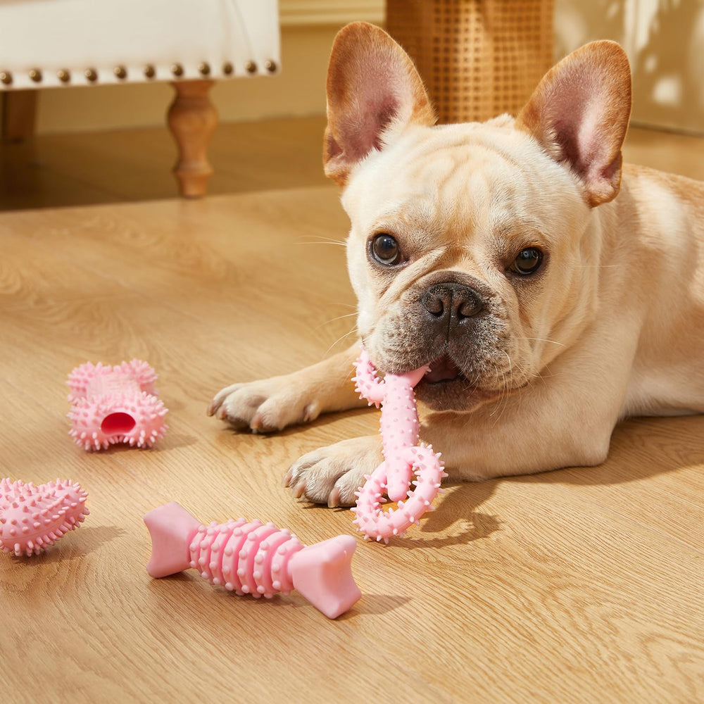 Bininl juguete dental para cachorros masajea encías y limpia suavemente.
