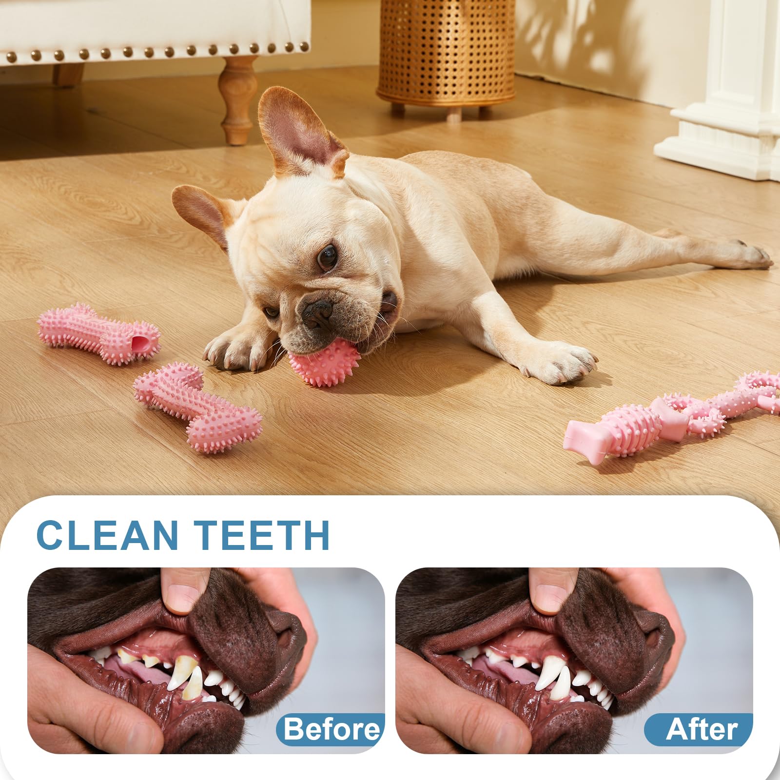 Bininl regalo ideal para cachorros pequeños durante su crecimiento.