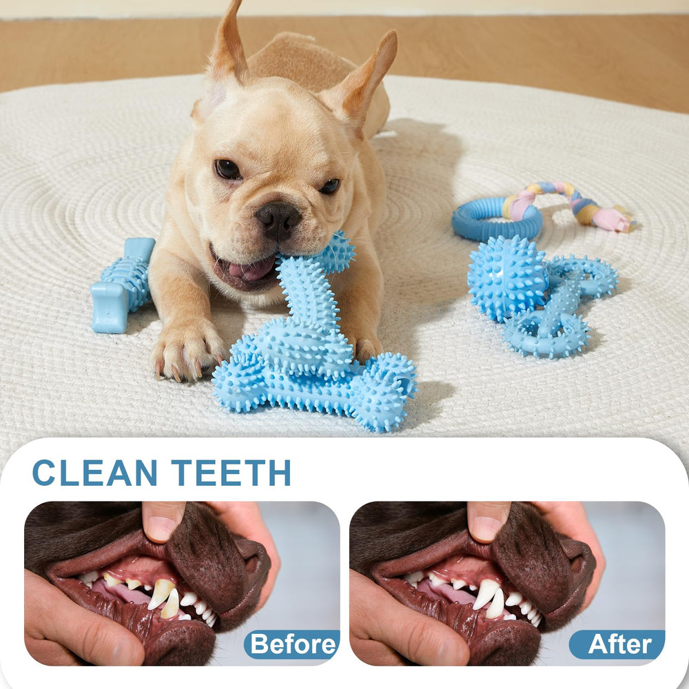 Regalo ideal Bininl para cachorros pequeños y entretenimiento diario.
