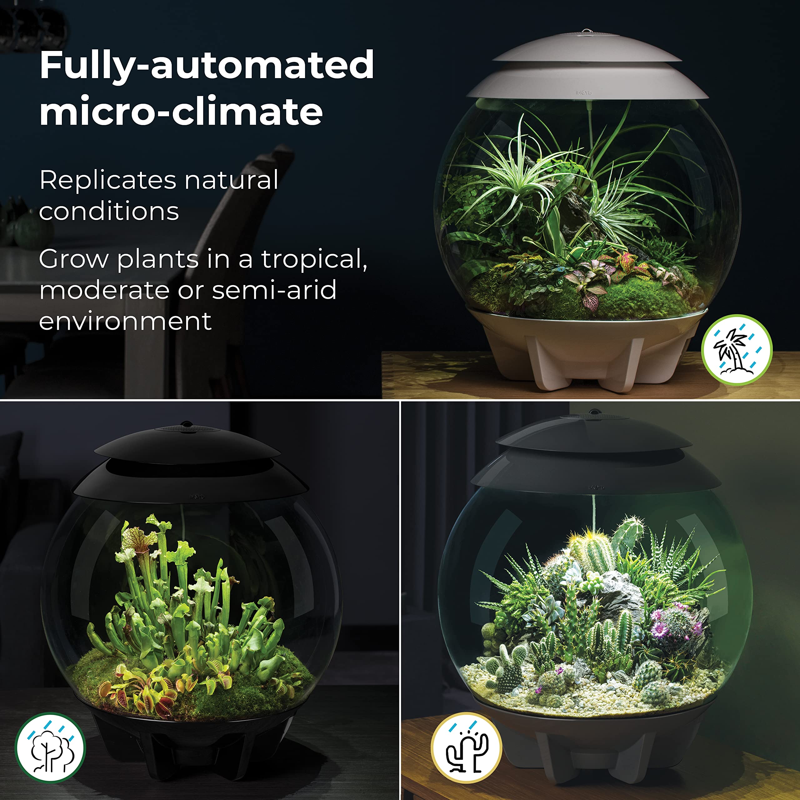 biOrb AIR 30 Vista 360: observe tu mini jardín desde cualquier ángulo.