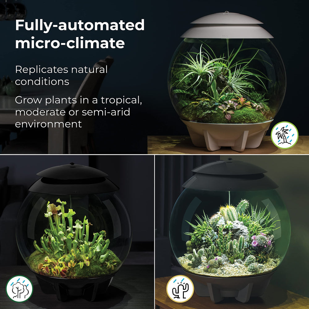 biOrb AIR 30 Vista 360: observe tu mini jardín desde cualquier ángulo.