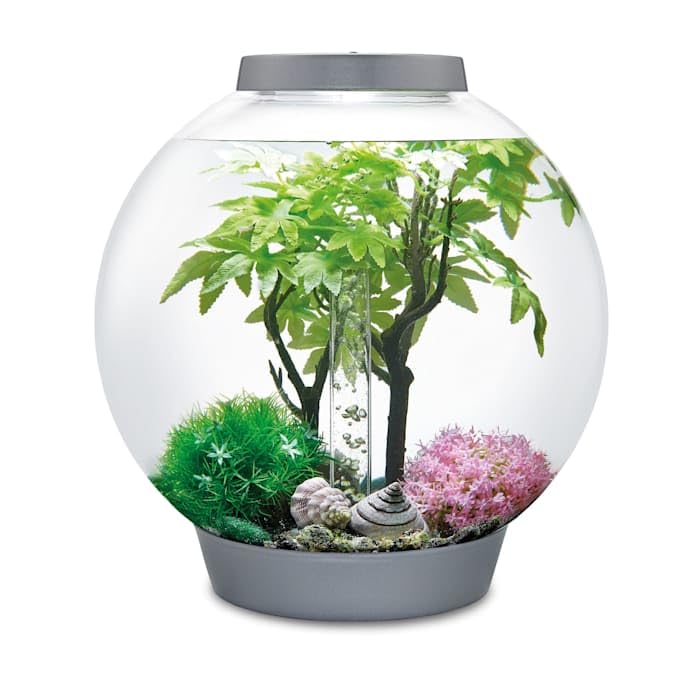 biOrb conjunto veraniego con conchas y musgo falso, añade color y textura al fondo