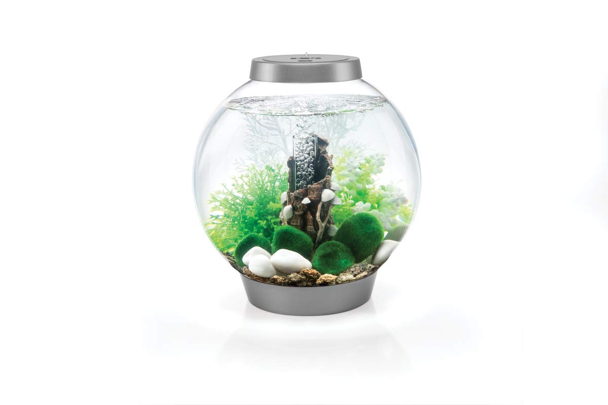 biOrb gorgonia marina blanca, acento elegante para acuario