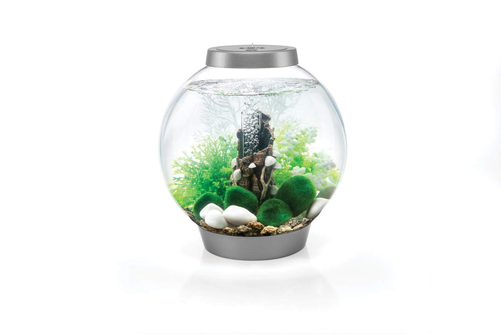 biOrb gorgonia marina blanca, acento elegante para acuario