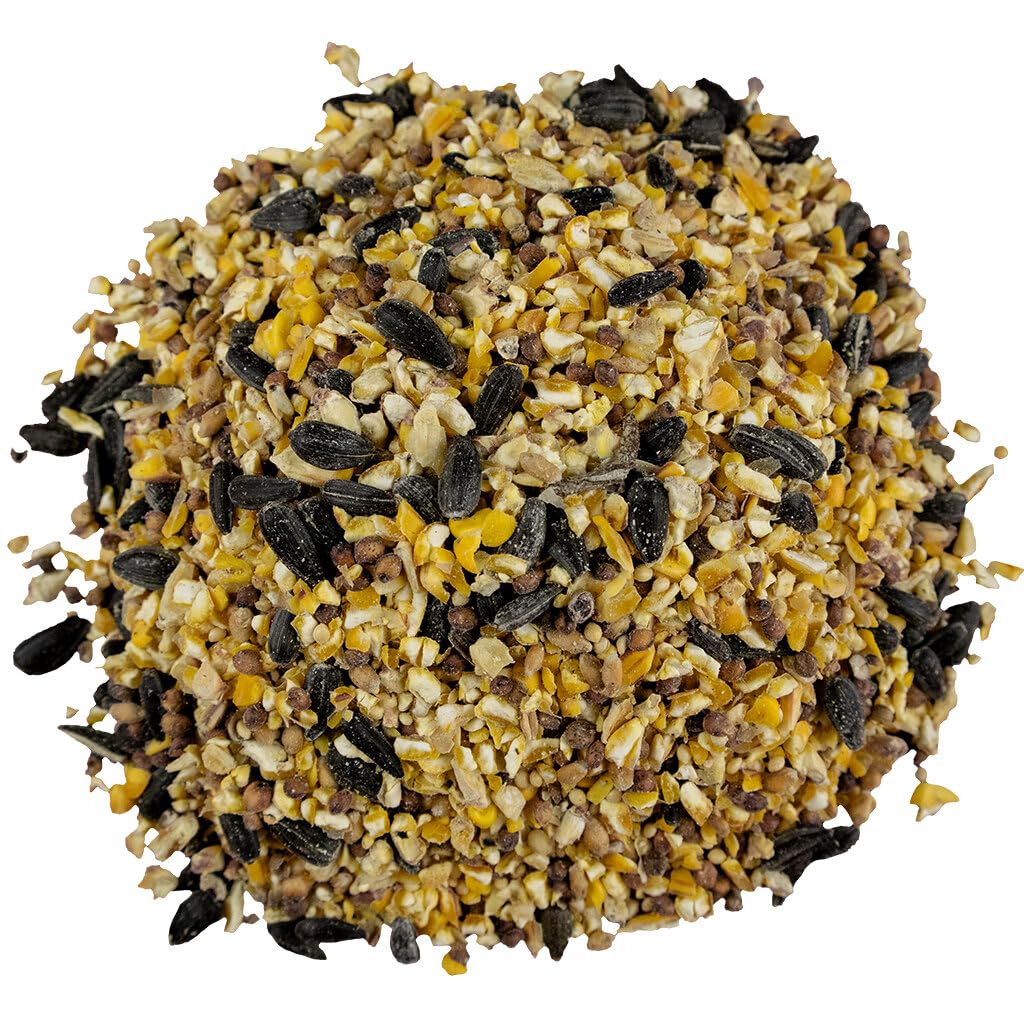 Bird Pro semillas para aves, bolsa de 40 libras, alimento económico para comederos del jardín.