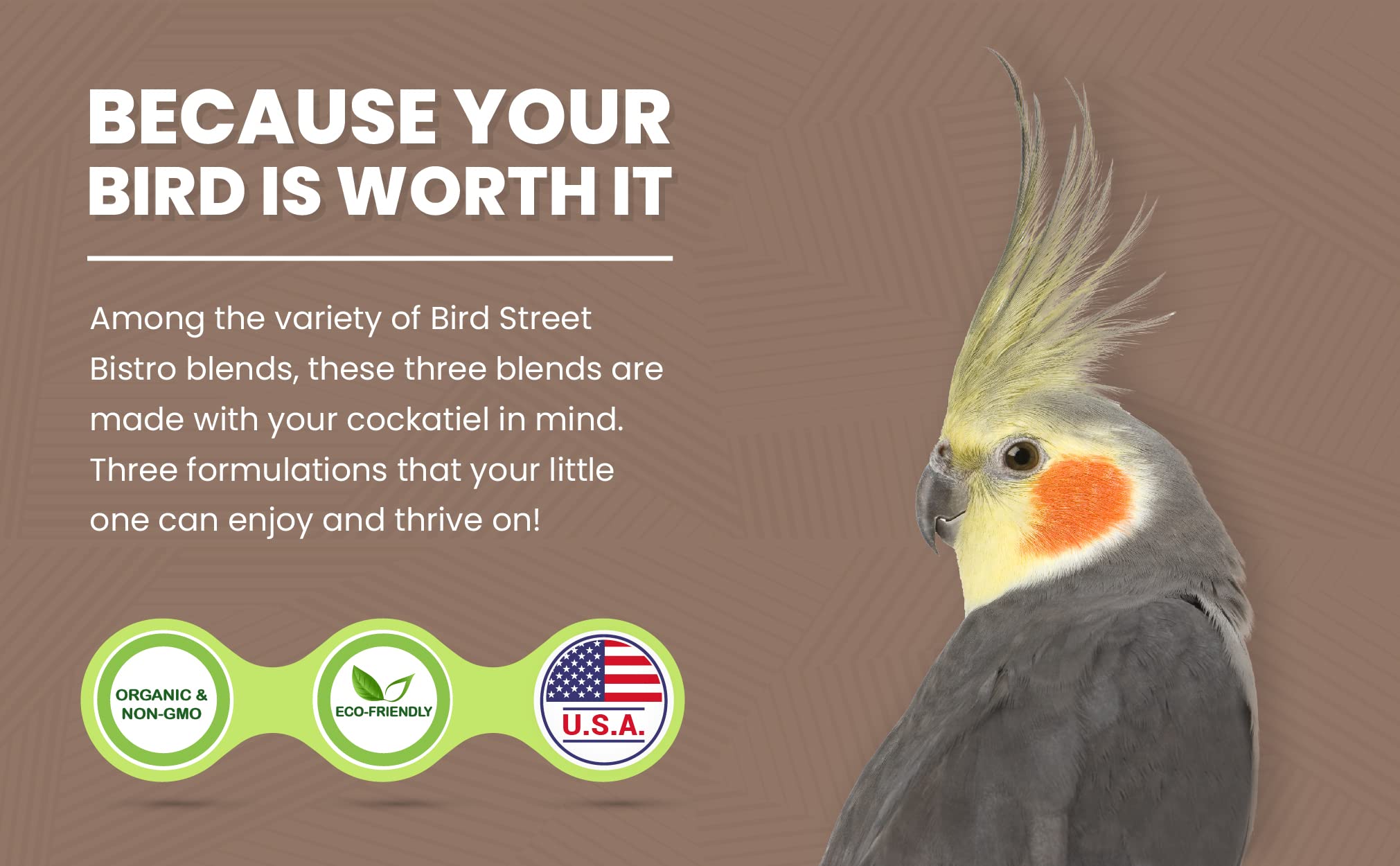 Bird Street Bistro envases sostenibles fabricados en EE. UU.