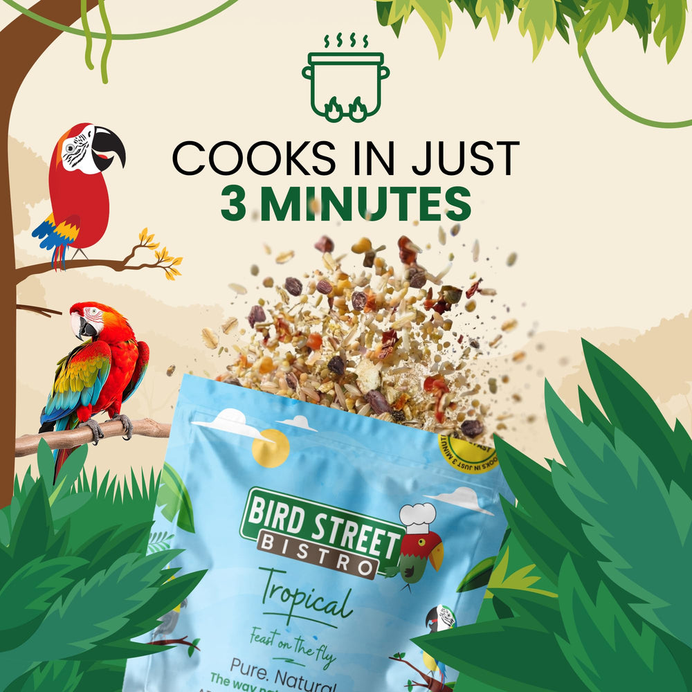 Uso diario de Bird Street Bistro en la rutina de alimentación de aves.