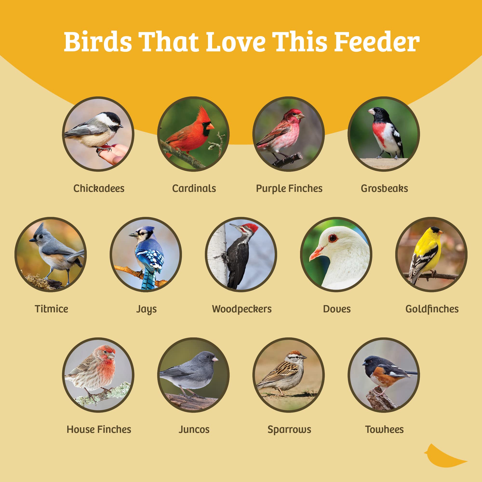 Birds Choice diseño versátil como comedero o plataforma.
