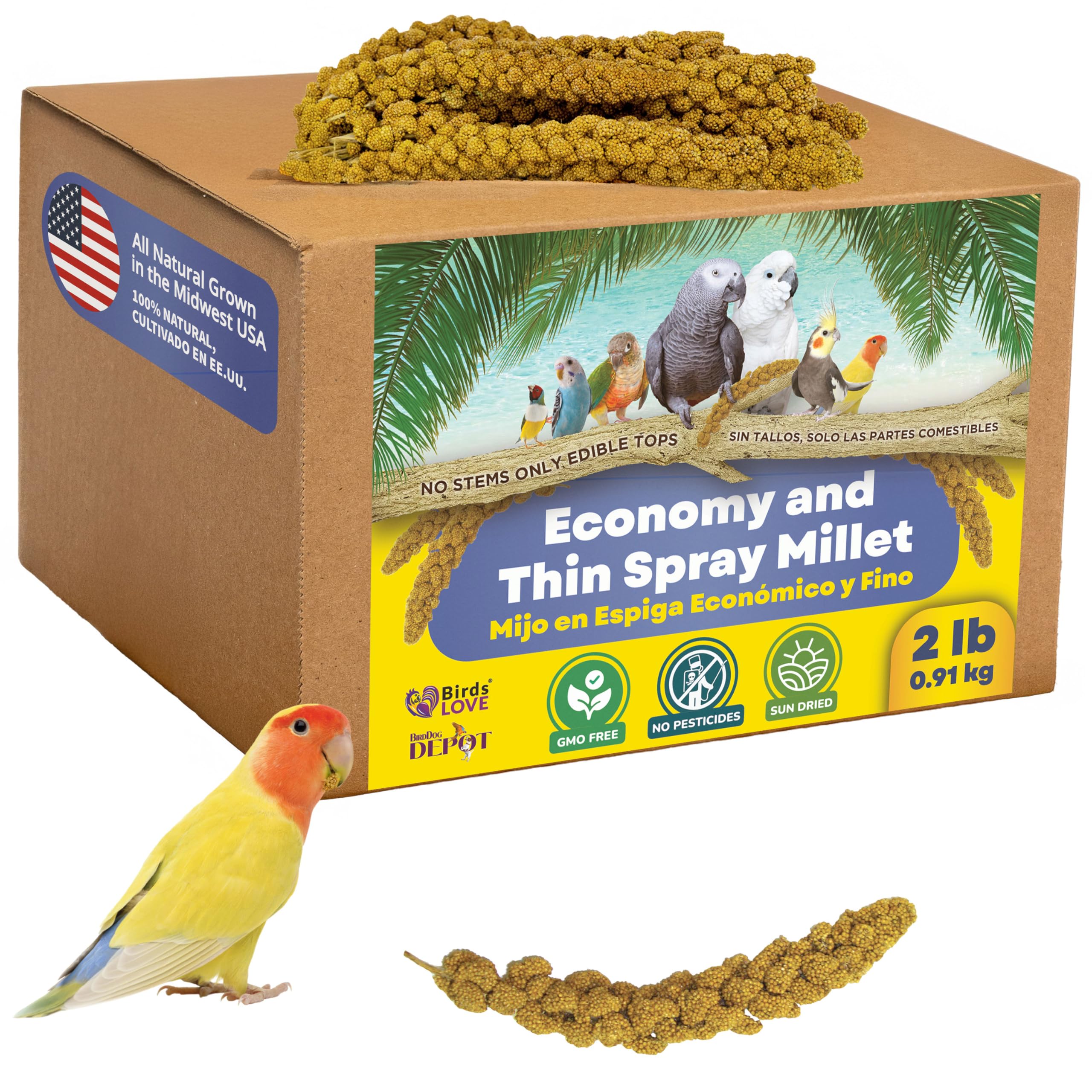 Birds LOVE 2lbs mijo espiga: snack natural para aves que fomenta el forraje