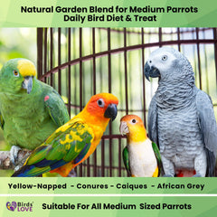 Birds LOVE conures disfrutan la mezcla natural en la jaula.