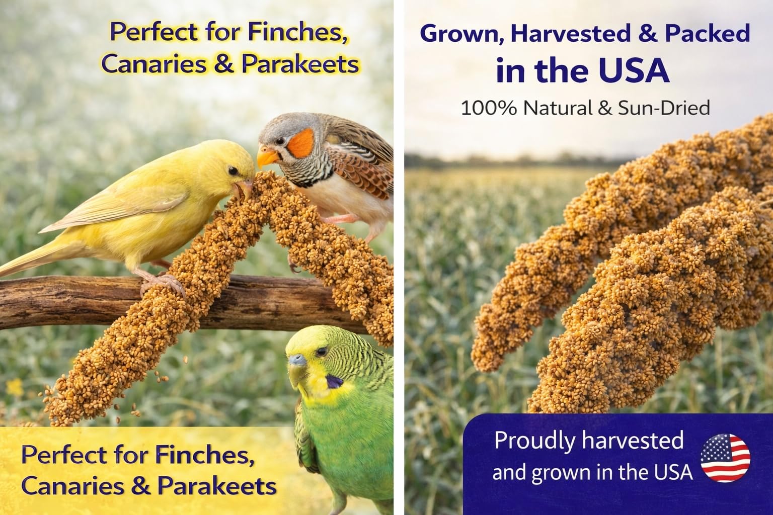 Birds LOVE mijo en aerosol de 9 oz, puntas comestibles para aves.