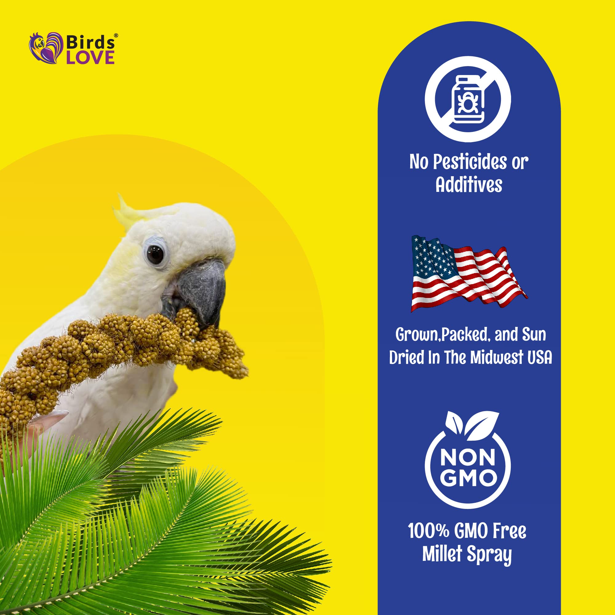 Birds LOVE mijo para aves de compañía: apoyo al enriquecimiento diario