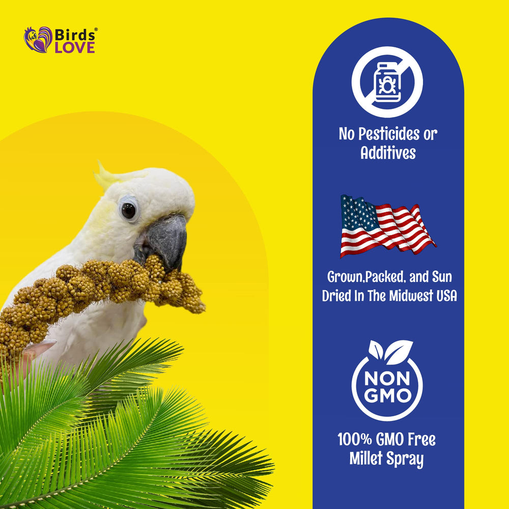 Birds LOVE mijo para aves de compañía: apoyo al enriquecimiento diario