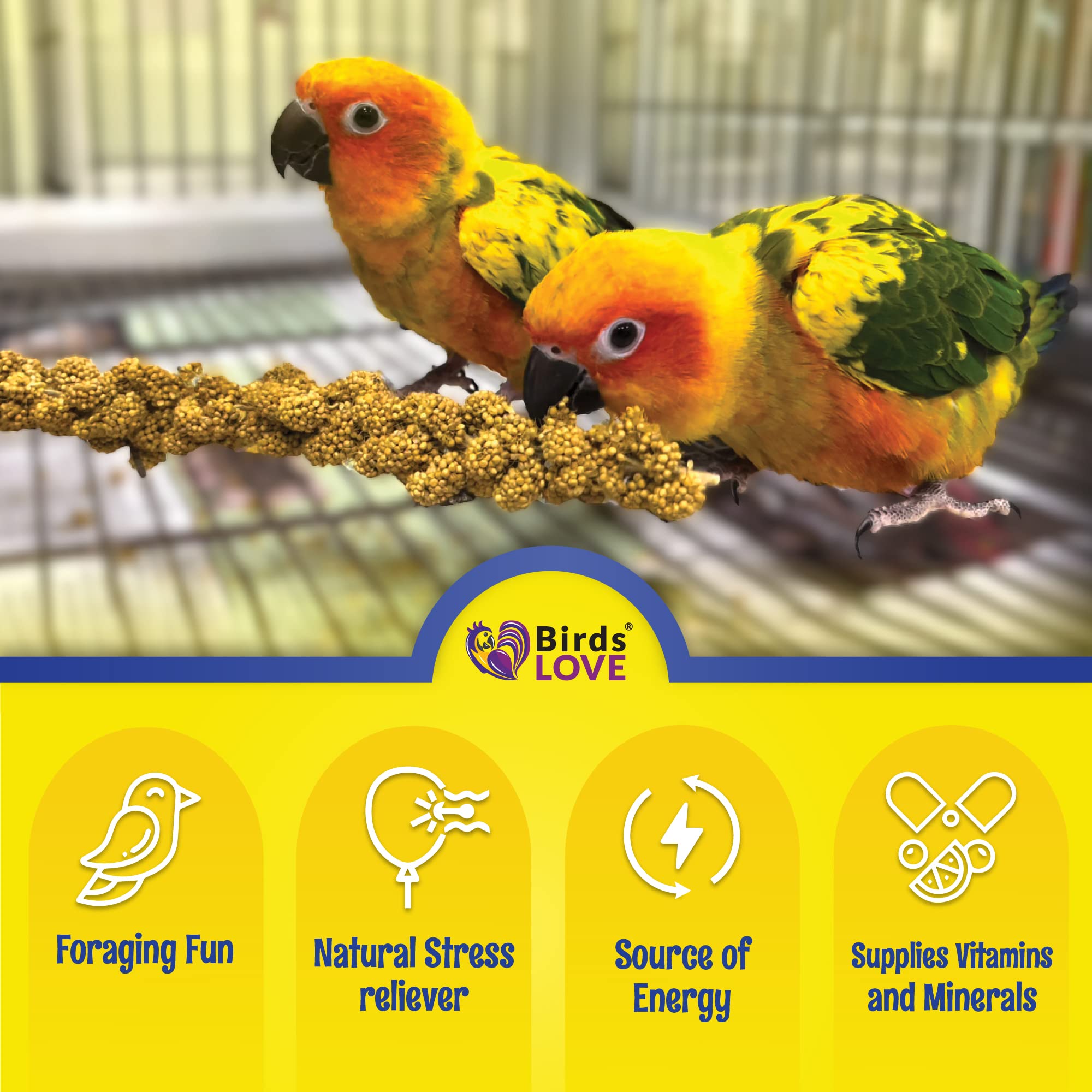Birds LOVE mijo para aves granívoras, complemento nutritivo diario.