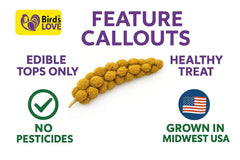 Birds LOVE mijo secado al sol 100% natural, sabroso y crujiente.