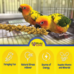 Birds LOVE mijo secado al sol: sabor fresco para aves curiosas
