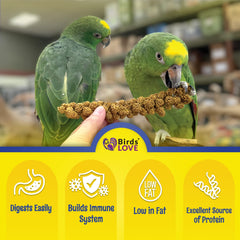 Birds LOVE mijo sin tallos, espigas listas para consumo
