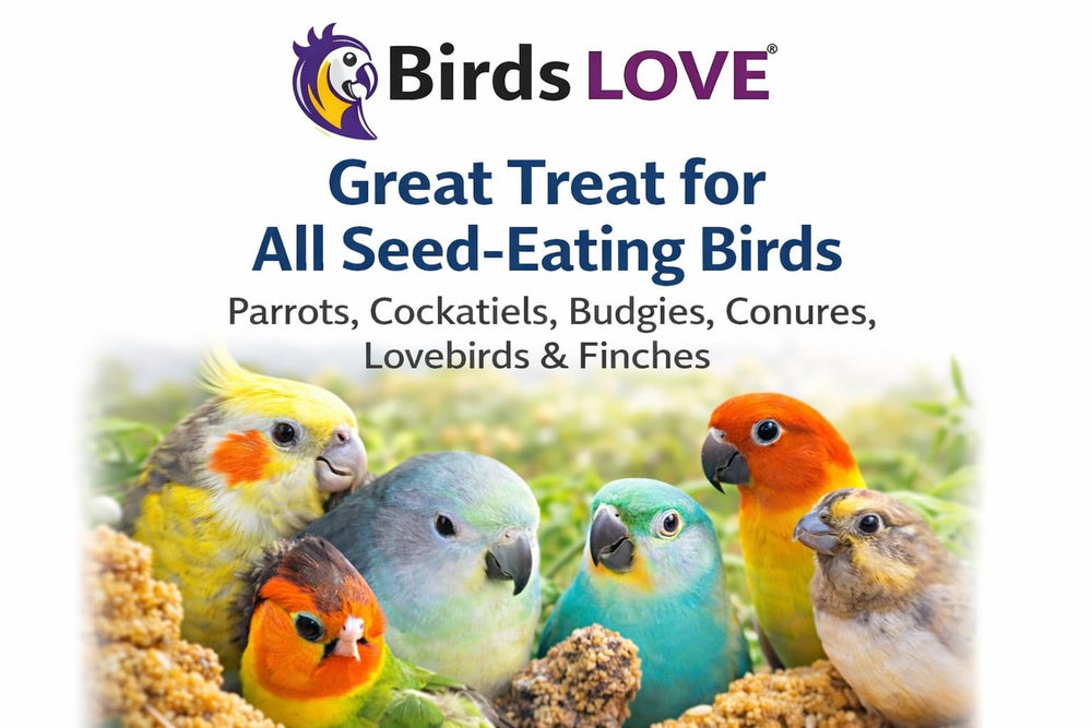 Birds LOVE uso diario para aves que comen semillas