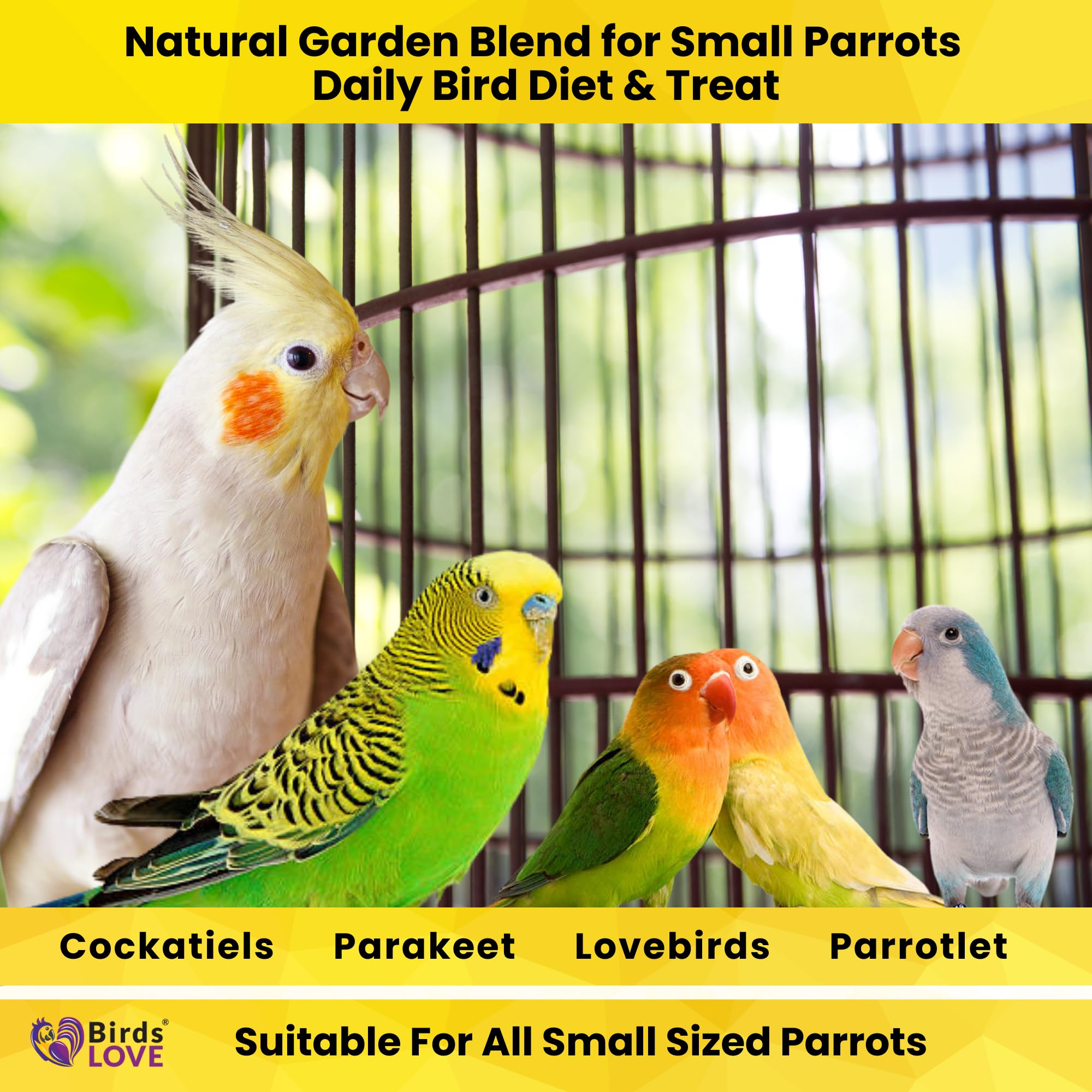 Birds LOVE variedad colorida de ingredientes para aves curiosas.