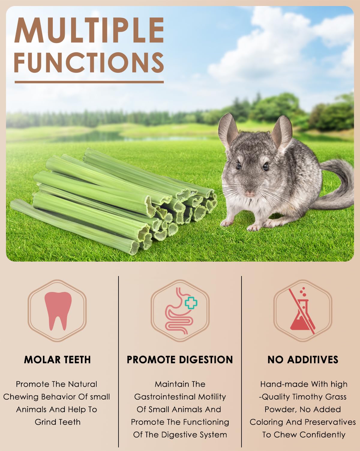 Bissap enfoque en cuidado dental de roedores con palitos masticables