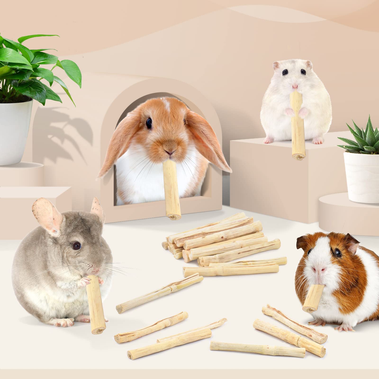 Bissap envase de 700 g, merienda natural para pequeños roedores.