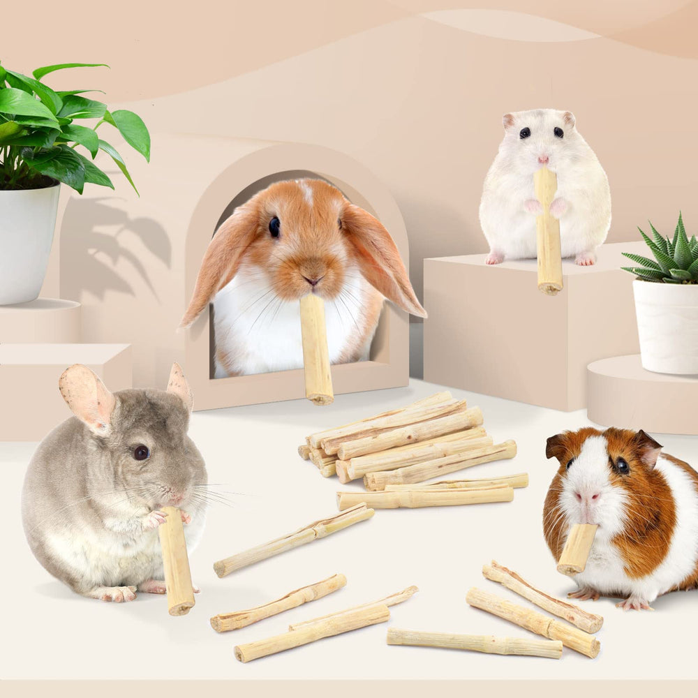 Bissap envase de 700 g, merienda natural para pequeños roedores.