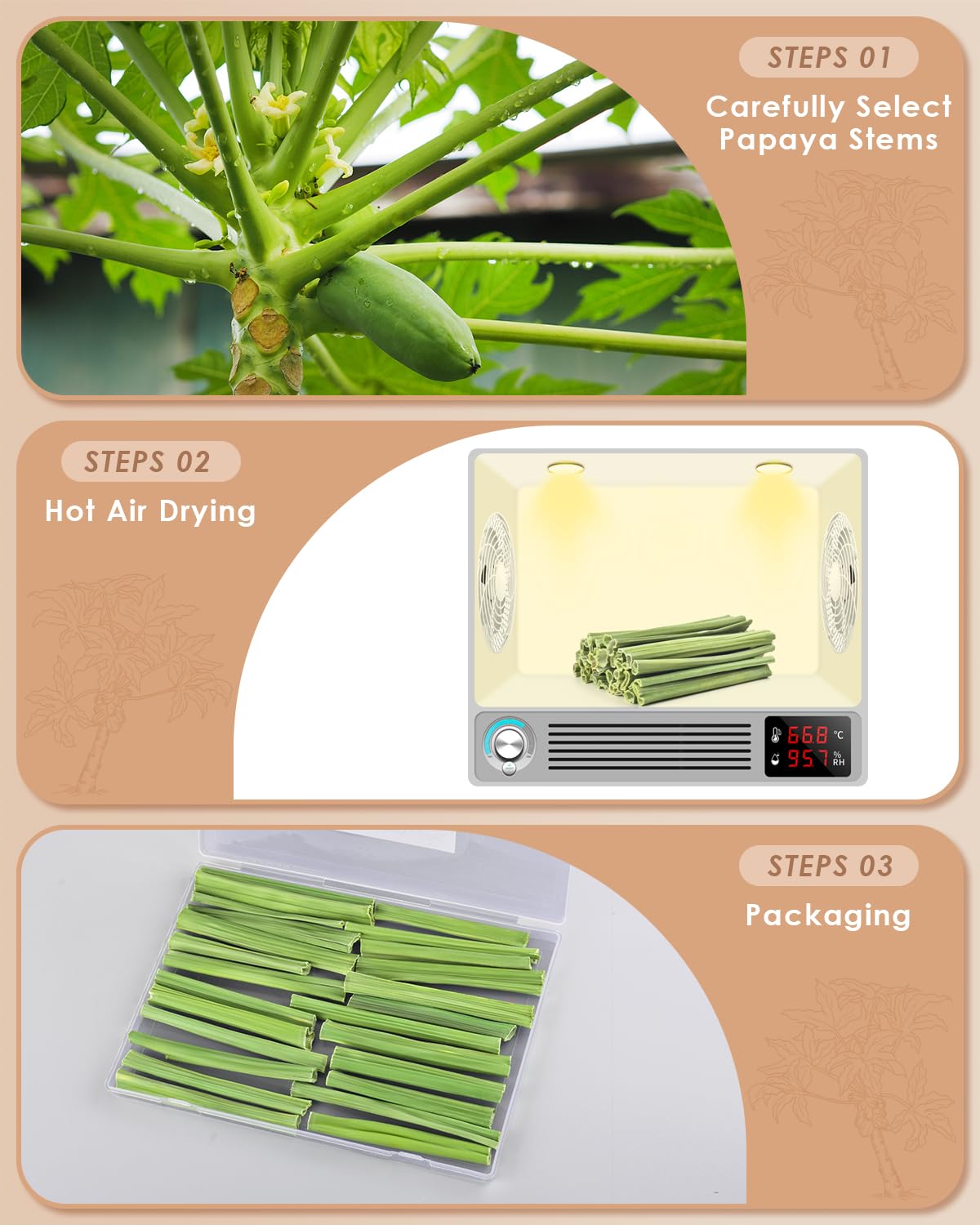 Bissap fibra dietaria de papaya natural para digestión