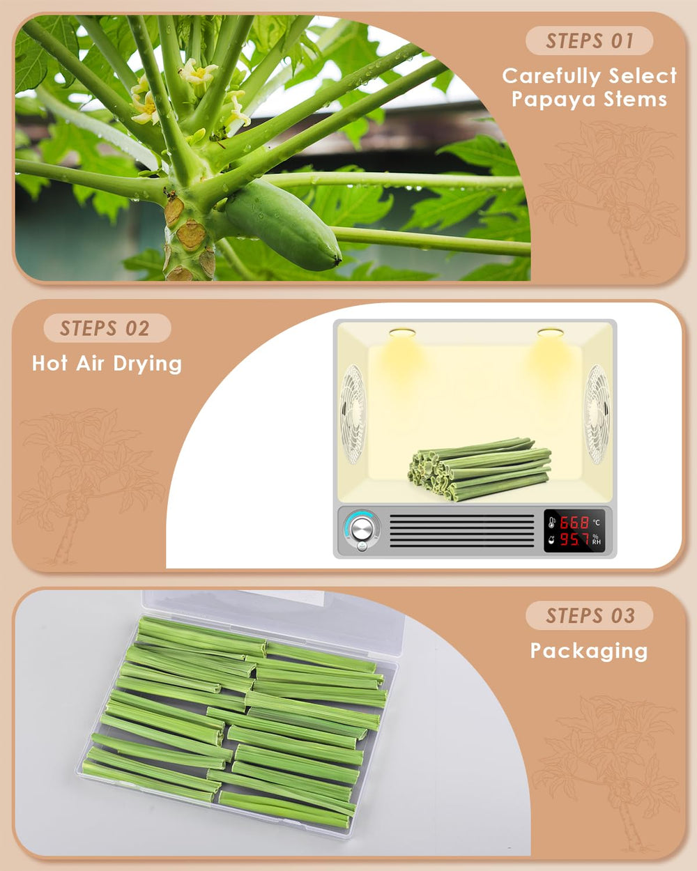 Bissap fibra dietaria de papaya natural para digestión