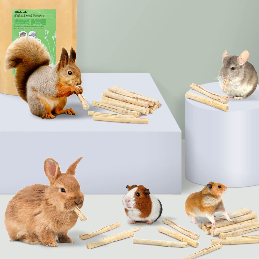 Bissap ideal para hamsters y roedores pequeños diariamente.