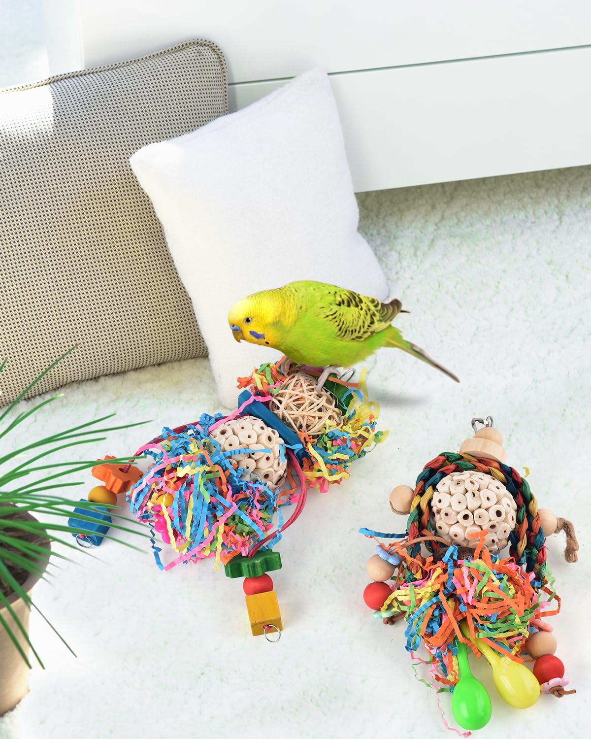 Estructura Bissap para aves pequeñas que favorece el escalado.