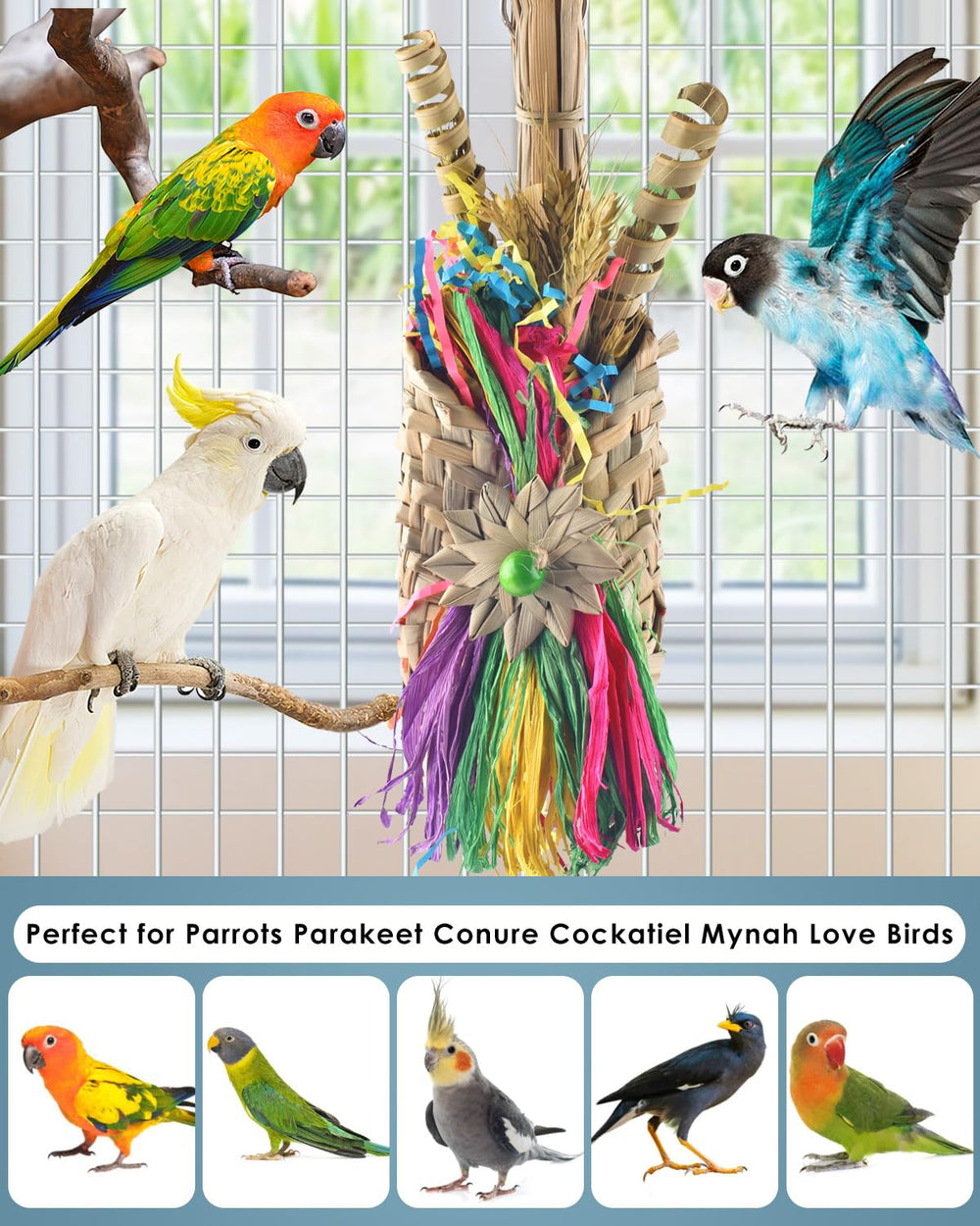 Juguete Bissap para estimulación mental de aves