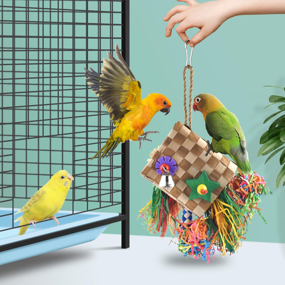 Uso diario del colgante Bissap para aves medianas.